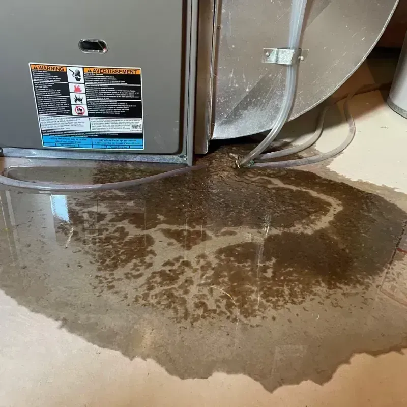 Appliance Leak Cleanup in Del Rio, CA